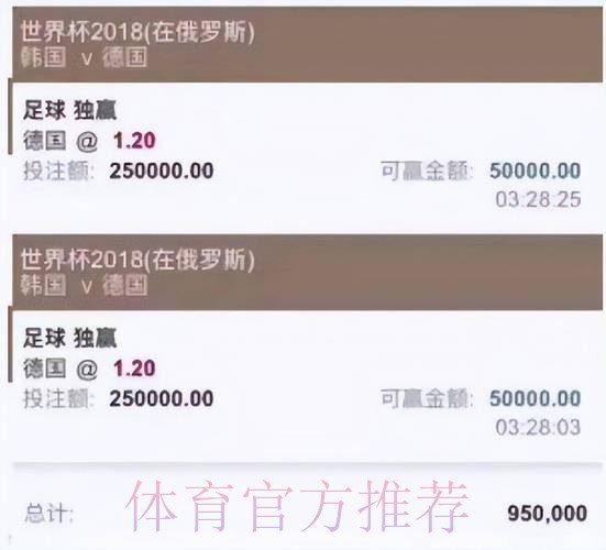 最新世界杯投注平台排行榜解析与推荐